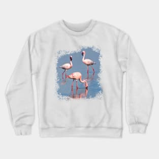 Flamingos in Kenya / Africa Crewneck Sweatshirt